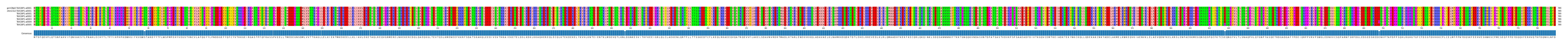 Multiple Alignments (by translate haplotype frequency)