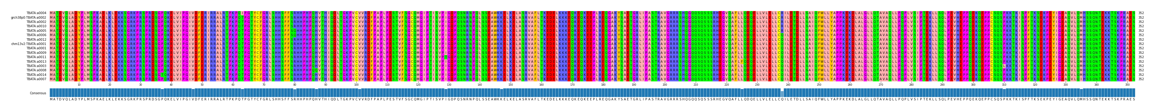 Multiple Alignments (by translate haplotype similarity)