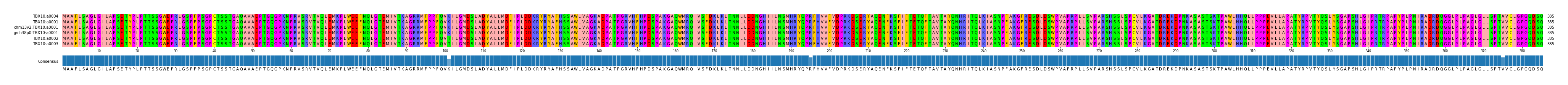 Multiple Alignments (by translate haplotype similarity)