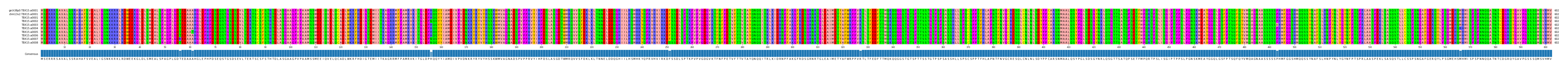 Multiple Alignments (by translate haplotype frequency)