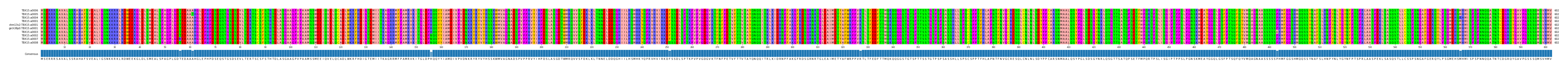Multiple Alignments (by translate haplotype similarity)