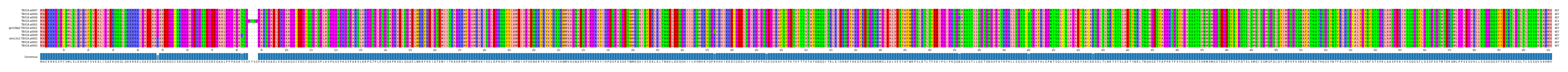Multiple Alignments (by translate haplotype similarity)