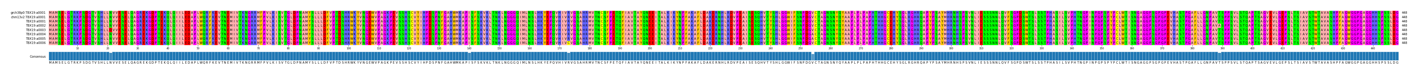 Multiple Alignments (by translate haplotype frequency)