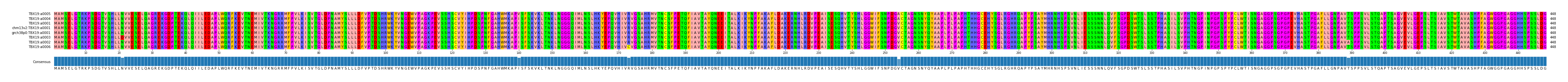 Multiple Alignments (by translate haplotype similarity)