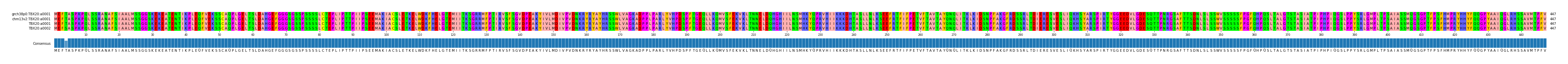 Multiple Alignments (by translate haplotype similarity)