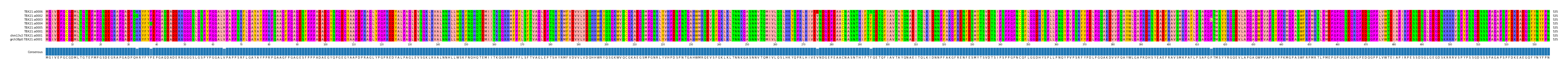 Multiple Alignments (by translate haplotype similarity)