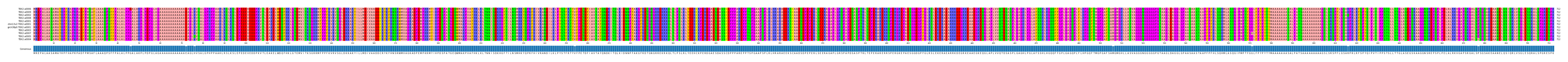 Multiple Alignments (by translate haplotype similarity)