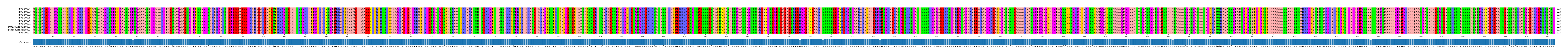 Multiple Alignments (by translate haplotype similarity)