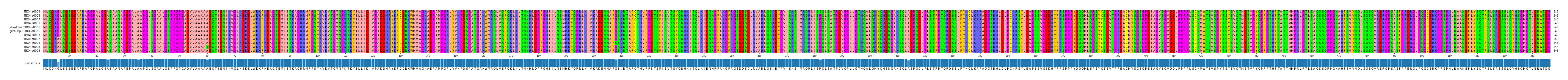 Multiple Alignments (by translate haplotype similarity)