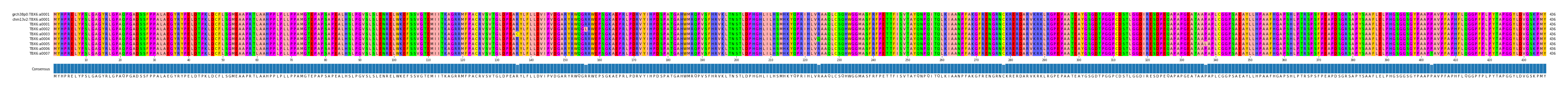Multiple Alignments (by translate haplotype frequency)