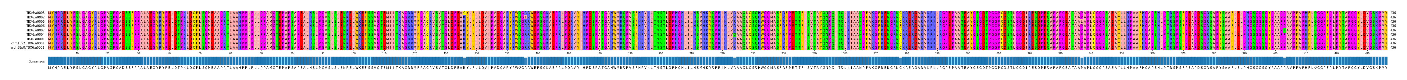 Multiple Alignments (by translate haplotype similarity)