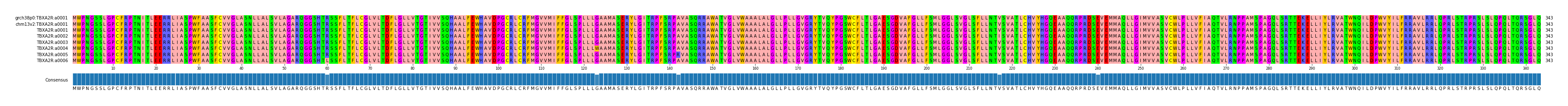 Multiple Alignments (by translate haplotype frequency)