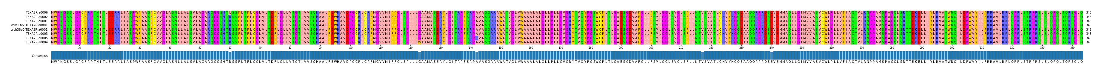 Multiple Alignments (by translate haplotype similarity)