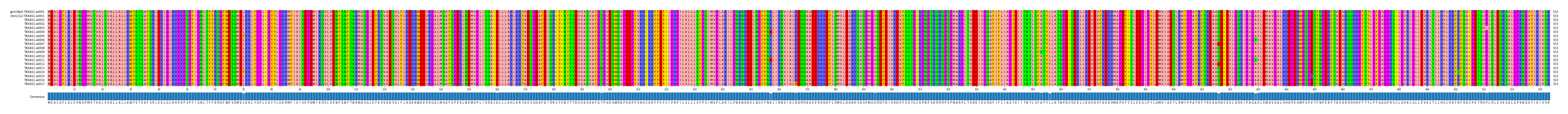 Multiple Alignments (by translate haplotype frequency)