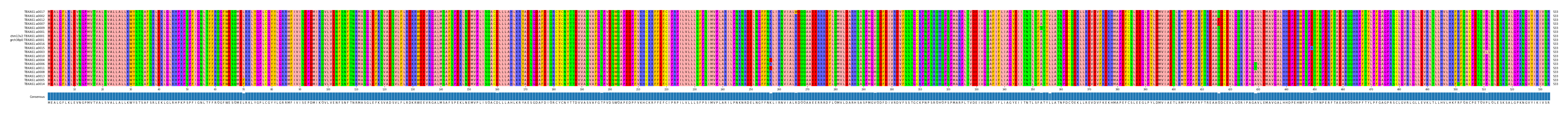 Multiple Alignments (by translate haplotype similarity)