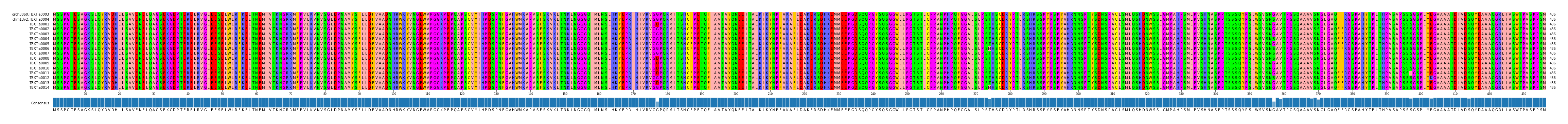 Multiple Alignments (by translate haplotype frequency)