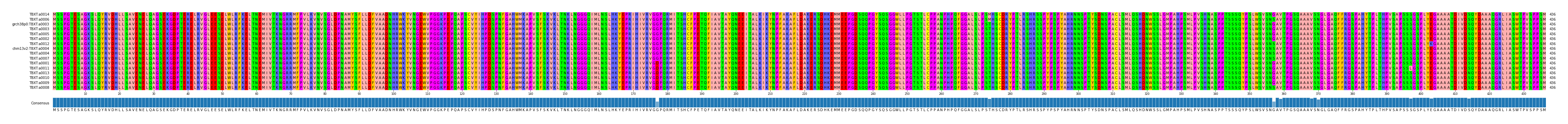 Multiple Alignments (by translate haplotype similarity)