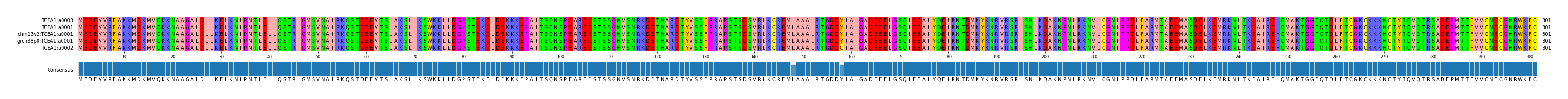 Multiple Alignments (by translate haplotype similarity)
