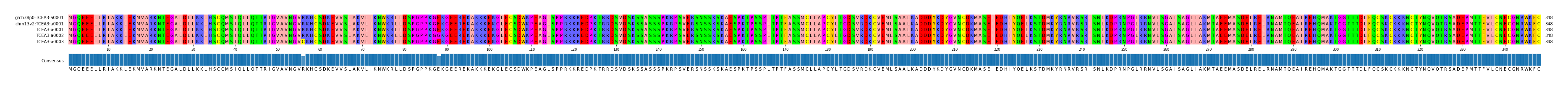 Multiple Alignments (by translate haplotype frequency)