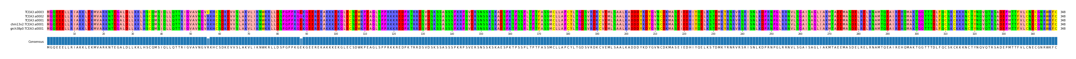 Multiple Alignments (by translate haplotype similarity)