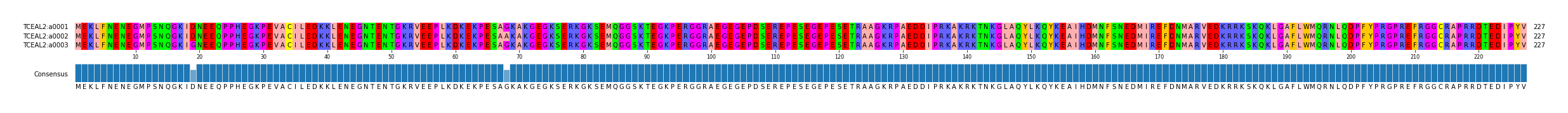 Multiple Alignments (by translate haplotype frequency)