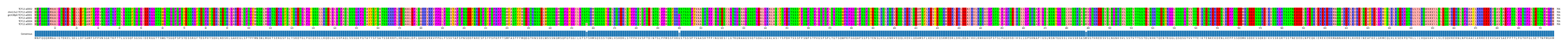 Multiple Alignments (by translate haplotype similarity)