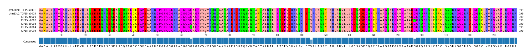 Multiple Alignments (by translate haplotype frequency)