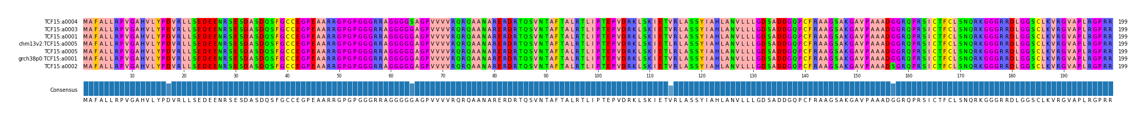 Multiple Alignments (by translate haplotype similarity)
