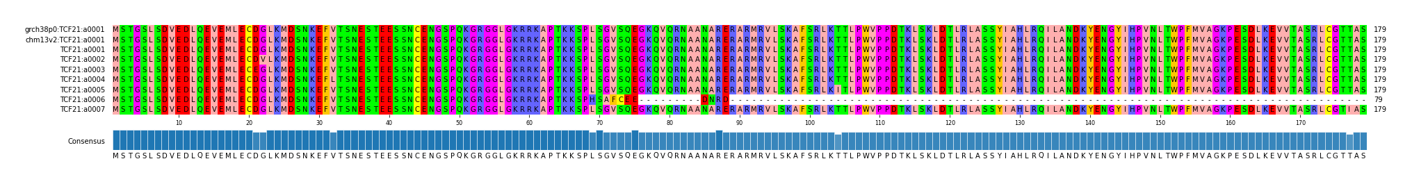 Multiple Alignments (by translate haplotype frequency)