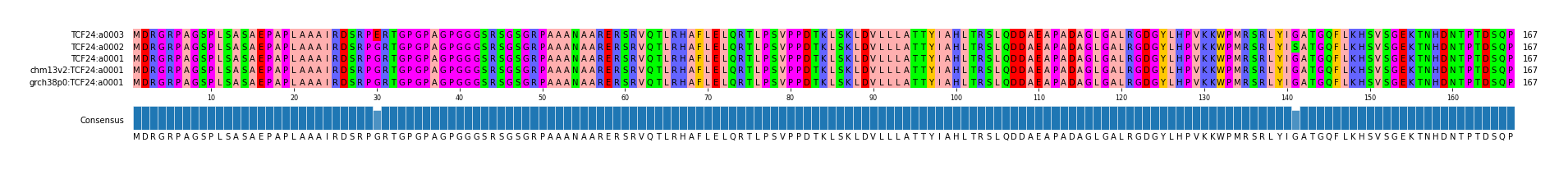 Multiple Alignments (by translate haplotype similarity)