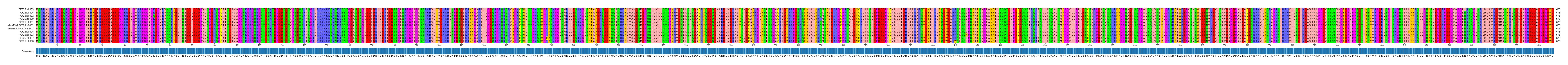 Multiple Alignments (by translate haplotype similarity)