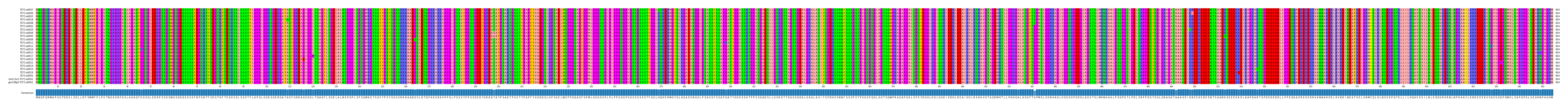Multiple Alignments (by translate haplotype similarity)