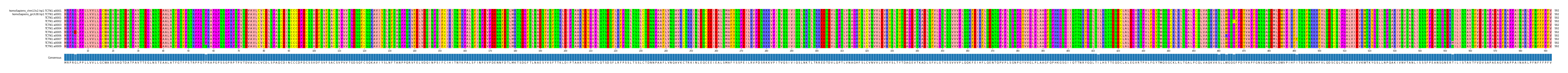 Multiple Alignments (by translate haplotype frequency)