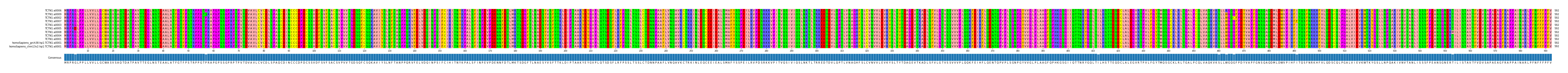 Multiple Alignments (by translate haplotype similarity)