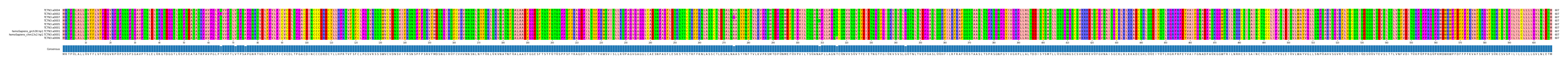 Multiple Alignments (by translate haplotype similarity)