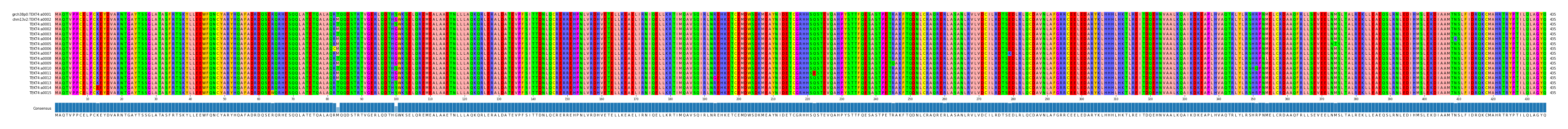 Multiple Alignments (by translate haplotype frequency)