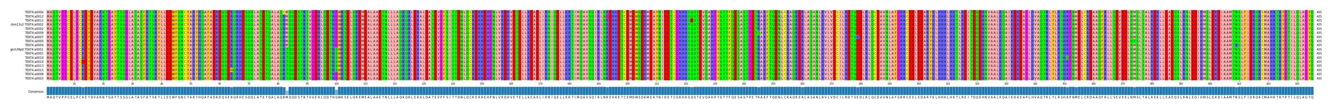 Multiple Alignments (by translate haplotype similarity)