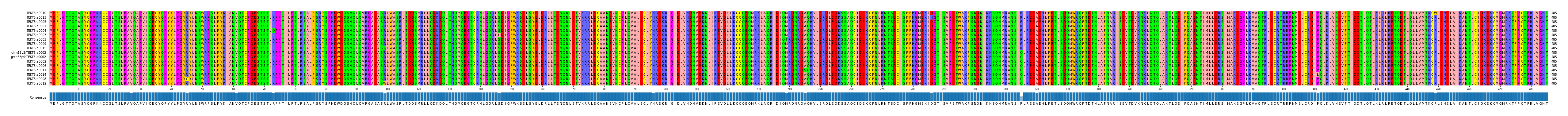 Multiple Alignments (by translate haplotype similarity)