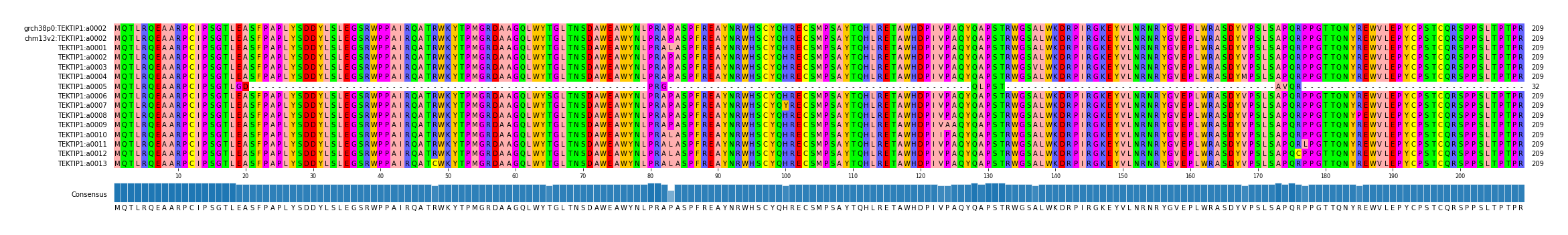 Multiple Alignments (by translate haplotype frequency)
