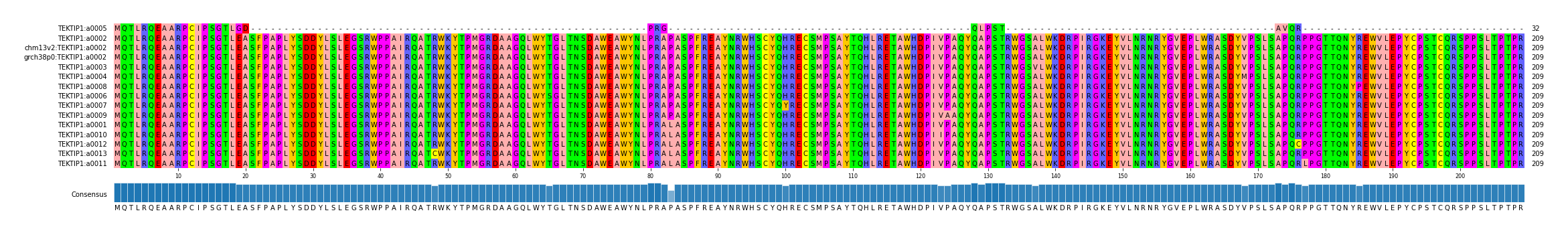 Multiple Alignments (by translate haplotype similarity)