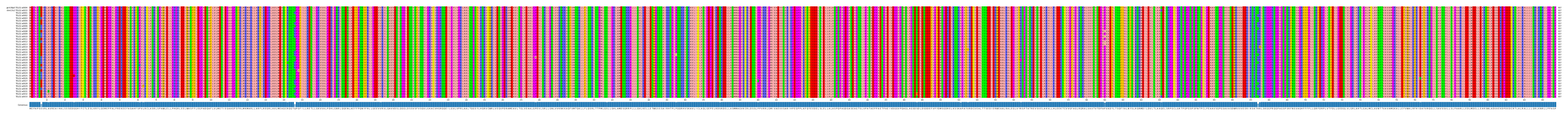 Multiple Alignments (by translate haplotype frequency)