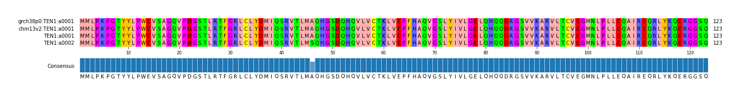 Multiple Alignments (by translate haplotype frequency)