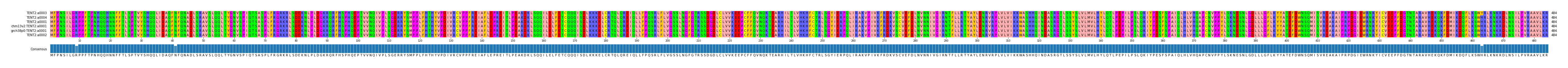 Multiple Alignments (by translate haplotype similarity)