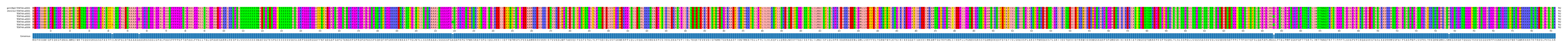 Multiple Alignments (by translate haplotype frequency)
