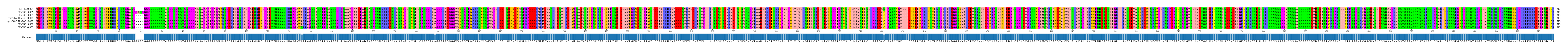 Multiple Alignments (by translate haplotype similarity)