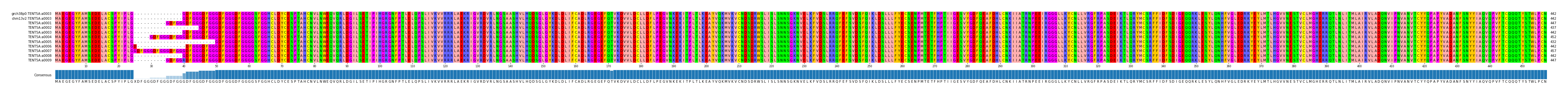 Multiple Alignments (by translate haplotype frequency)