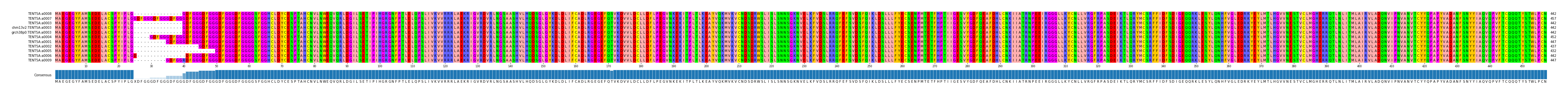 Multiple Alignments (by translate haplotype similarity)