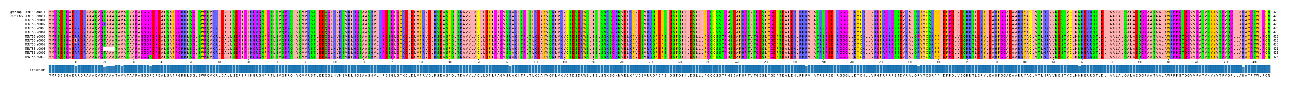 Multiple Alignments (by translate haplotype frequency)