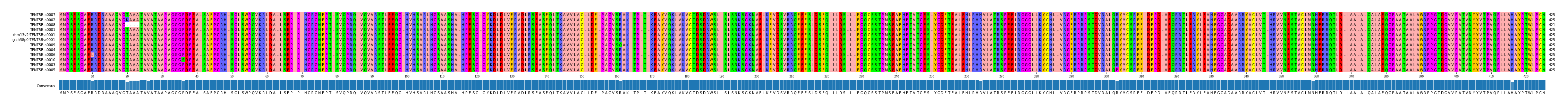 Multiple Alignments (by translate haplotype similarity)