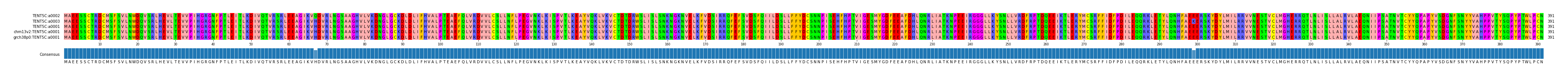 Multiple Alignments (by translate haplotype similarity)